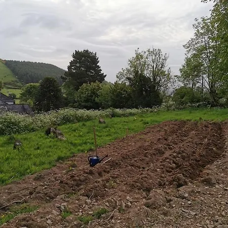 The Calf House * Borrisoleigh